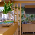 Отель Bora Bora Butik Алания