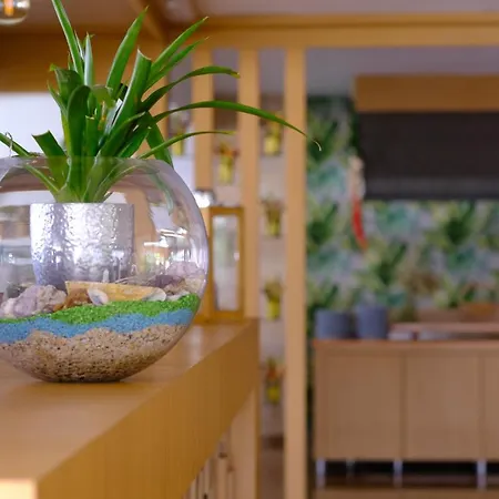 酒店 Bora Bora Butik 阿拉尼亚