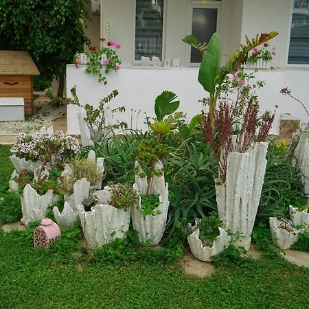 Bora Bora Butik 3* Αλάνια