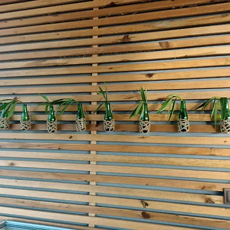 酒店 Bora Bora Butik 阿拉尼亚