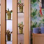ホテル Bora Bora Butik アランヤ