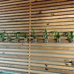 ホテル Bora Bora Butik アランヤ